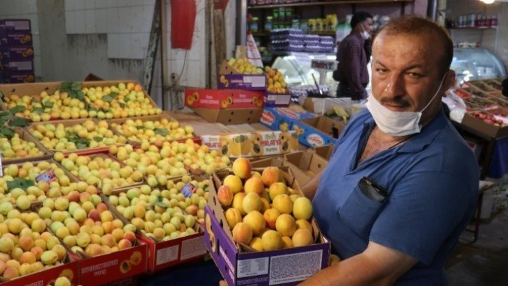 Sezonun son yaş kayısıları tezgahlarda