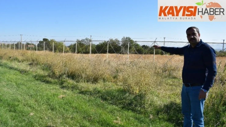 Stat ilgisizlikten meraya döndü