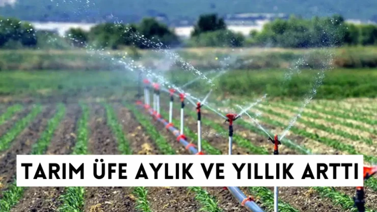 Tarım-ÜFE yıllık ve aylık arttı
