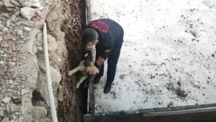 Temele sıkışan köpek kurtarıldı
