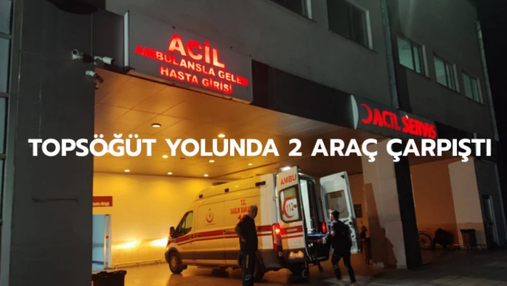 Topsöğüt yolunda 2 araç çarpıştı