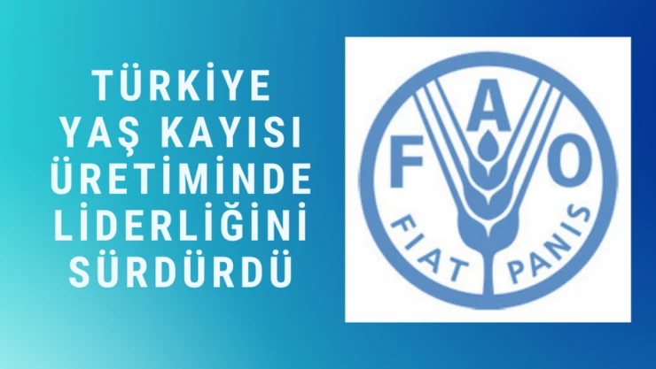 Türkiye yaş kayısı üretiminde liderliğini sürdürdü