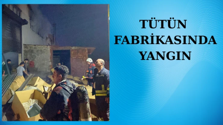 Tütün fabrikasında yangın