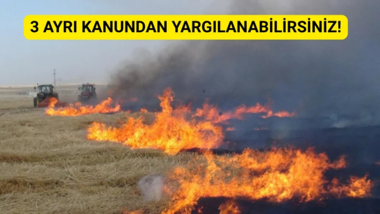 Valilik uyardı: 3 ayrı kanundan yargılanabilirsiniz!