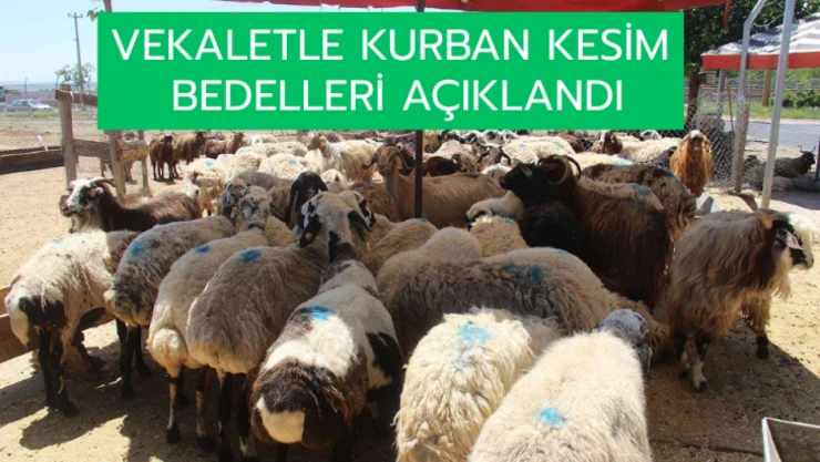 Vekaletle kurban kesim bedelleri açıklandı