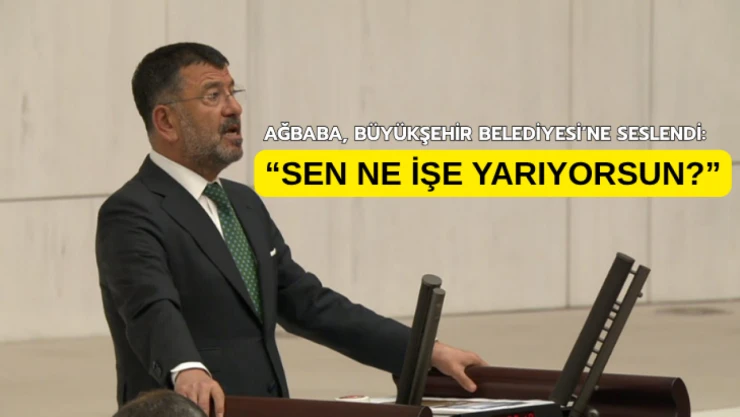 Veli Ağbaba: Sen ne işe yarıyorsun?
