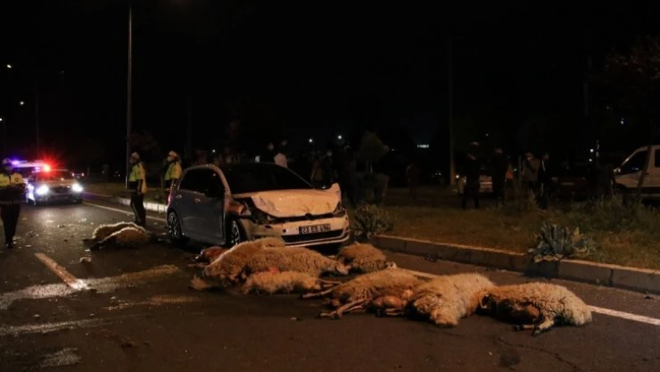Yarış yapan 2 otomobil 30 koyunu telef etti