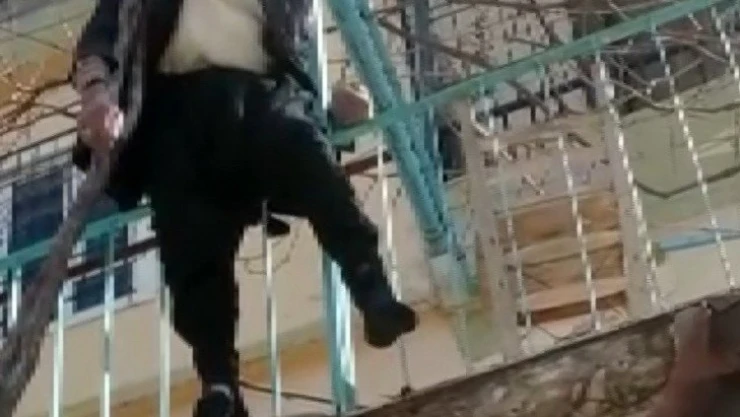 Yaşlı adam çıktığı ağaçta asılı kaldı