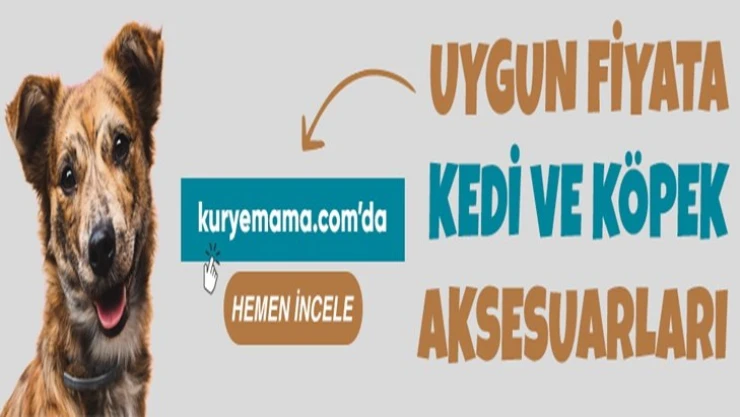 Yavru Kedi Mamaları İhtiyaç Setleri, Köpek Kaka Poşetleri Kuryemama.com İndirimli