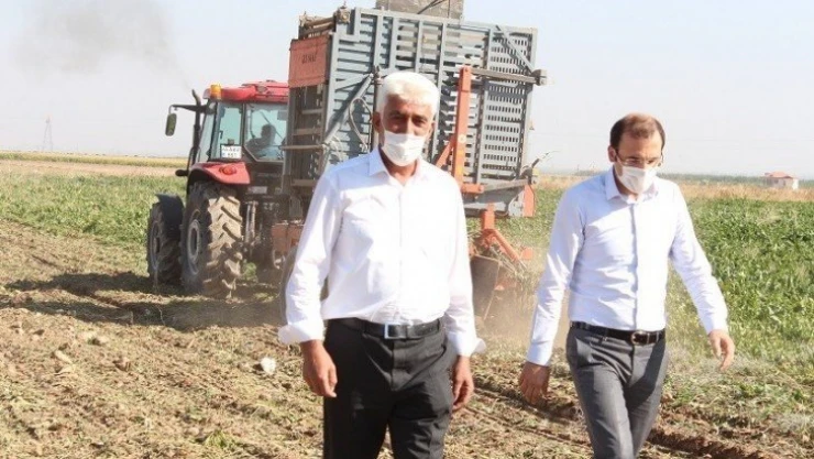 Yazıhan'da pancar hasadı başladı