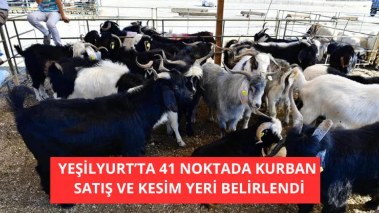 Yeşilyurt'ta 41 noktada kurban satış ve kesim yeri belirlendi