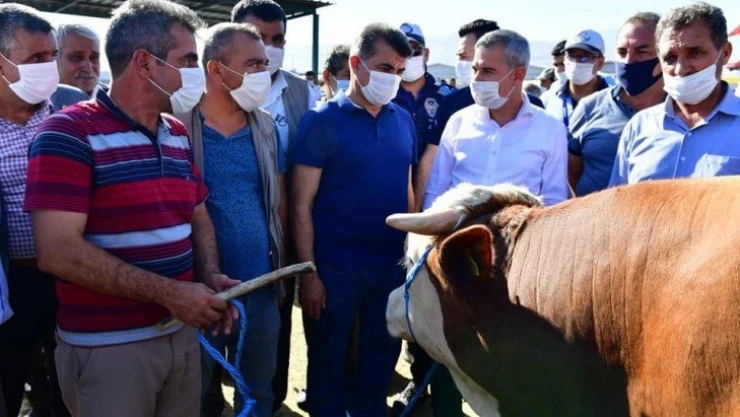 Yeşilyurt'ta 44 noktada kurban satış ve kesim işlemleri yapılacak