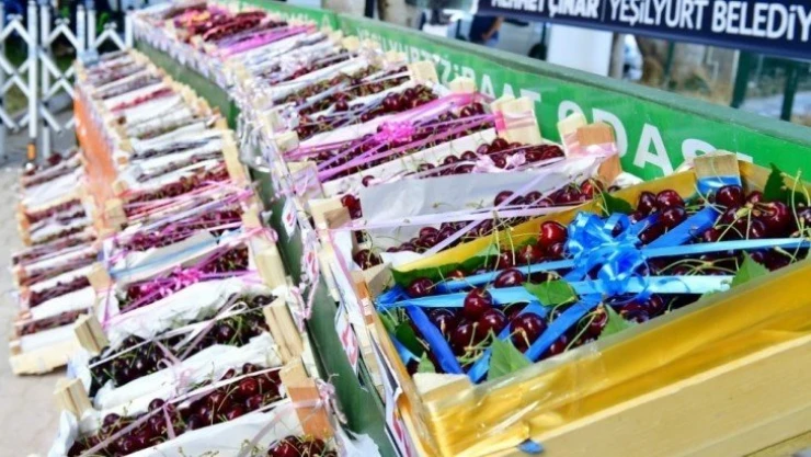 Yeşilyurt'ta en iyi kiraz ve bahçesi ödülleri sahiplerini buldu