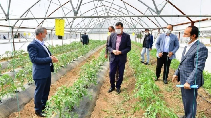 Yeşilyurt'ta Meyve Kurutma ve Kükürtleme Tesisi kurulacak