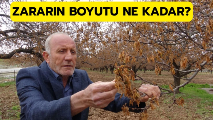 Zararın boyutu ne kadar?