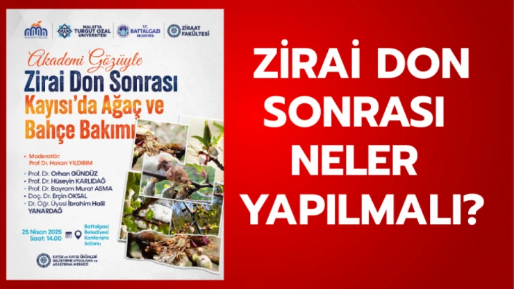 Zirai Don Sonrası Neler Yapılmalı?