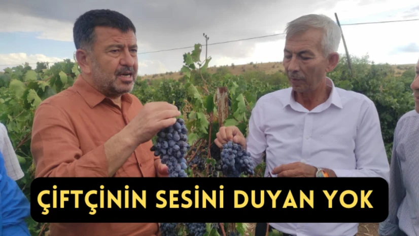 Ağbaba: Çiftçinin sesini duyan yok