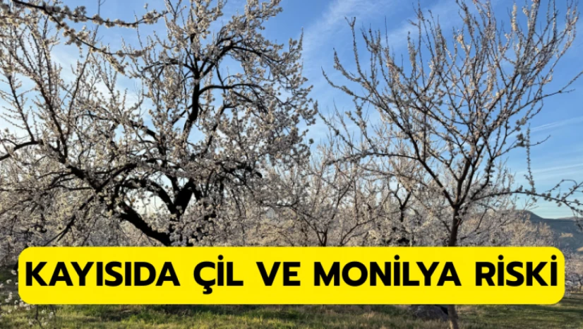 Çil ve monilya hastalığına dikkat!