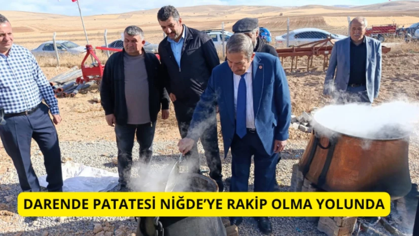 Darende patatesi Niğde'ye rakip olma yolunda
