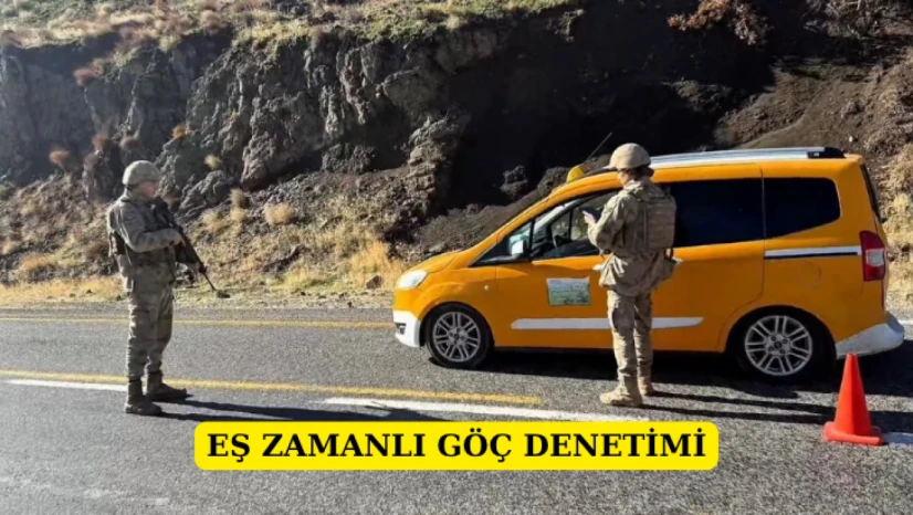 Eş zamanlı göç denetimi