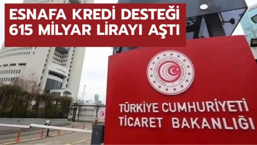 Esnafa kredi desteği 615 milyar lirayı aştı