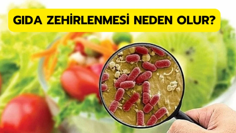 Gıda zehirlenmesi neden olur?