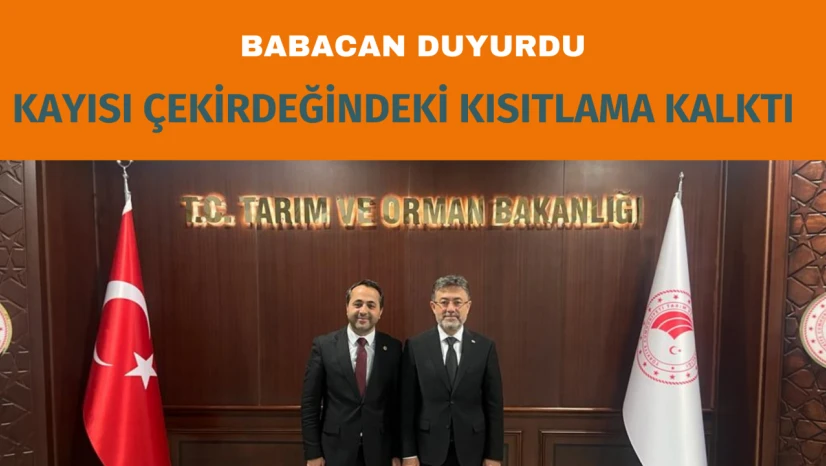 Kayısı çekirdeğindeki kısıtlama kalktı