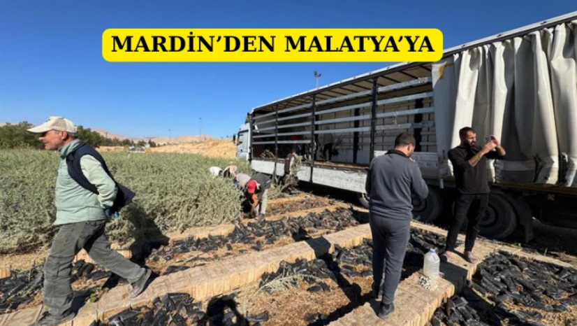 Mardin'den Malatya'ya