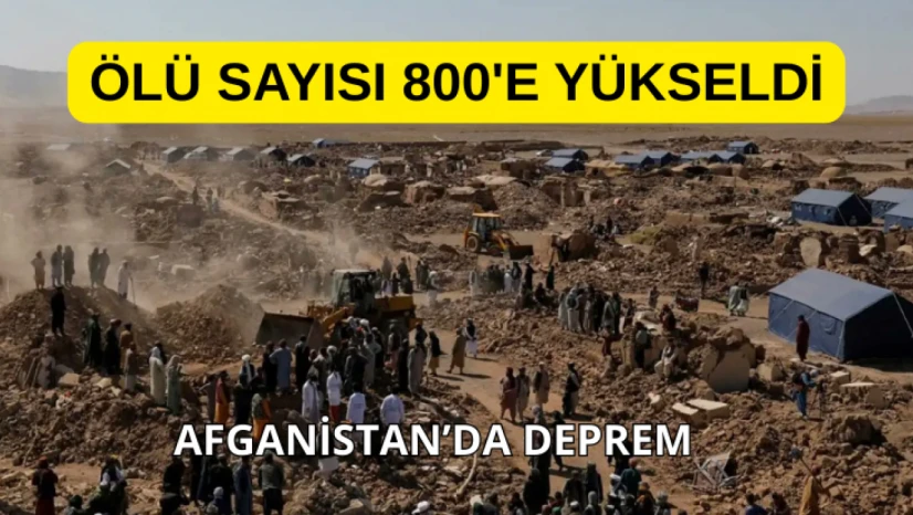 Ölü sayısı 800'e yükseldi