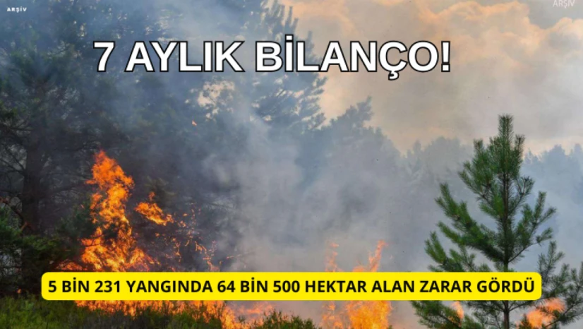 Türkiye'de çıkan 5 bin 231 yangında 64 bin 500 hektar alan zarar gördü