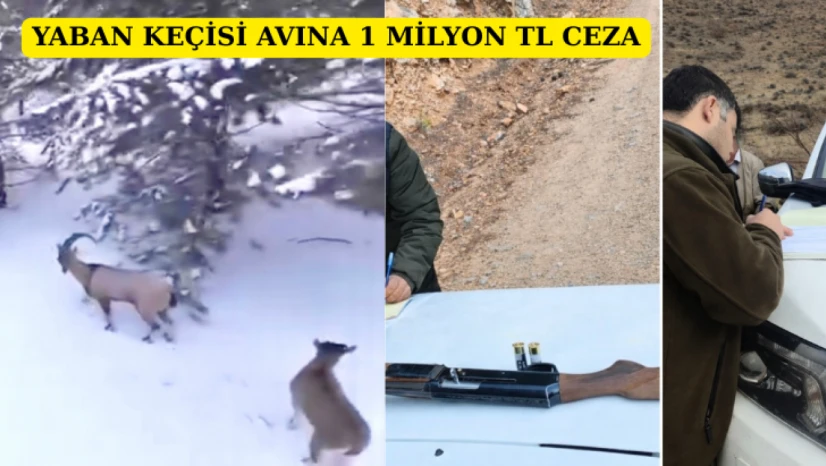Yaban Keçisi Avına 956 Bin TL Ceza