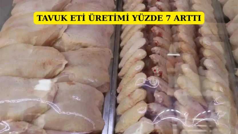 Tavuk eti üretimi yüzde 7,1 arttı